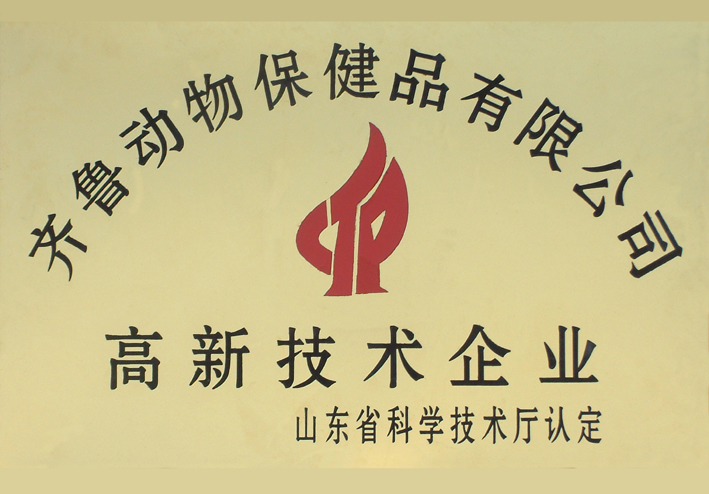 高新技術(shù)企業(yè)