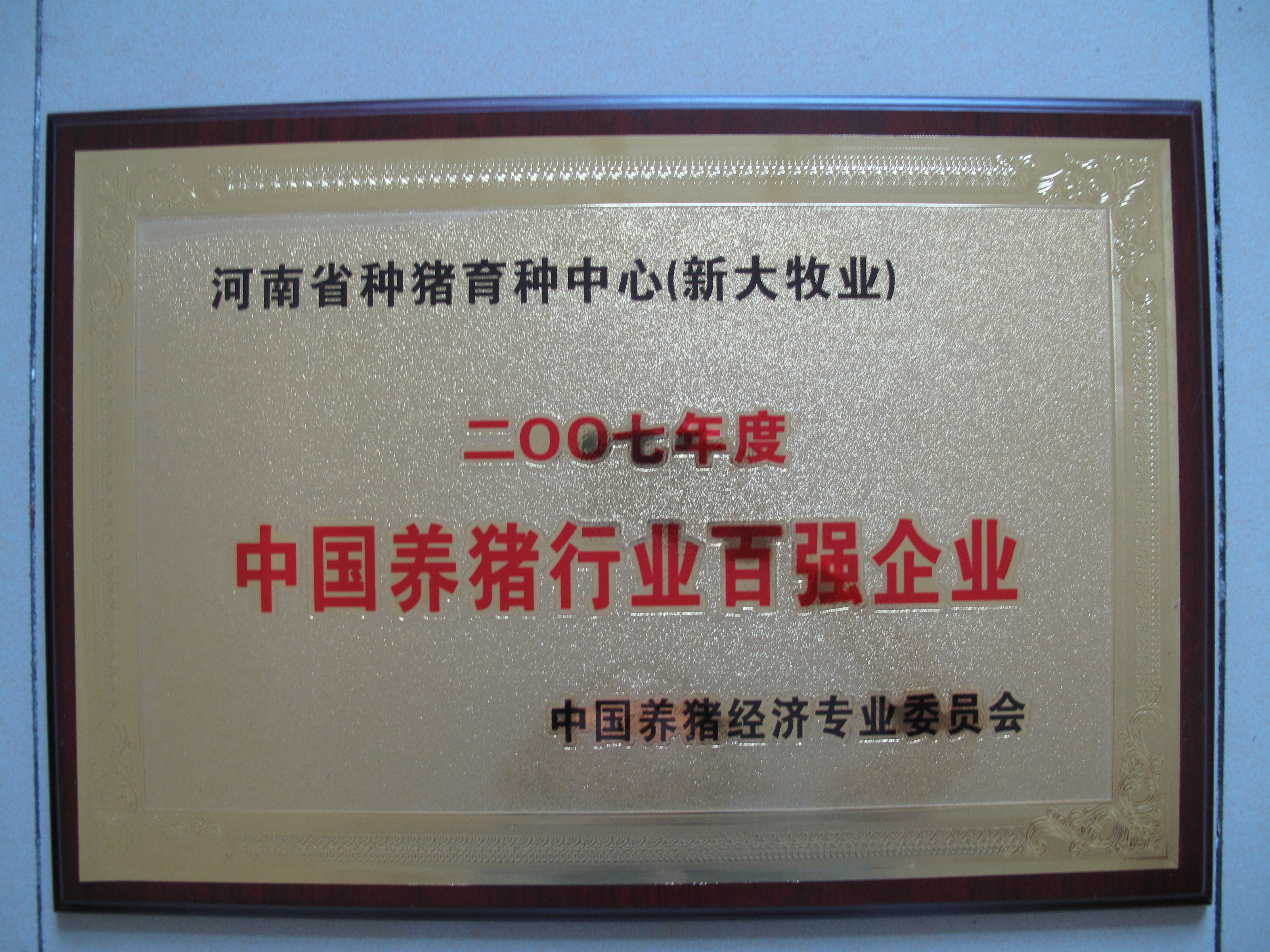 中國養(yǎng)豬行業(yè)百強(qiáng)企業(yè)