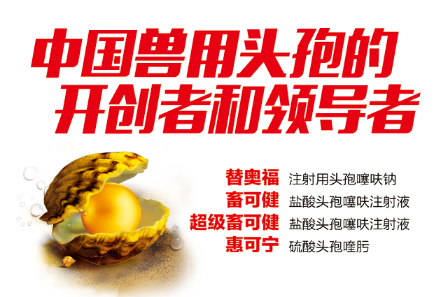 新品推薦