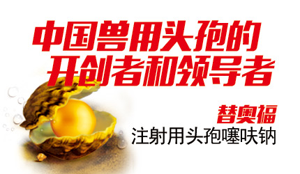 新品推薦