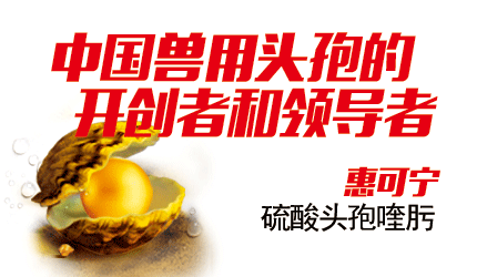 新品推薦
