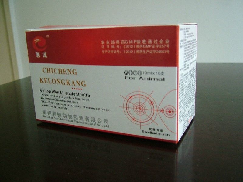 治豬藍(lán)耳病的藥，豬得藍(lán)耳病打啥針好，豬藍(lán)耳病用什么藥好